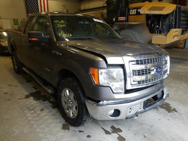 FORD NULL 2013 1ftfx1et7dfb43125