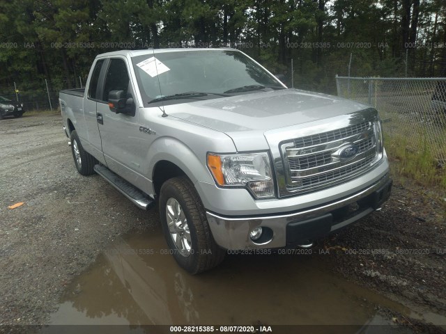 FORD F-150 2013 1ftfx1et7dkg43325