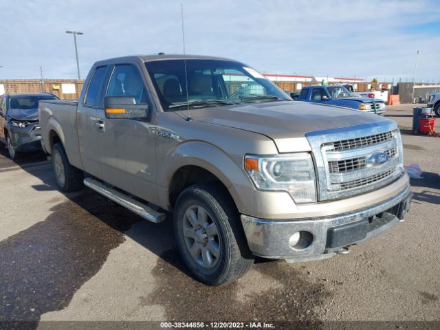 FORD F-150 2014 1ftfx1et7efb09686