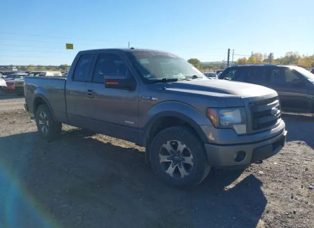 FORD F-150 2014 1ftfx1et7efb22275