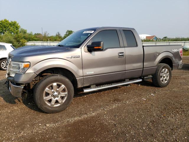 FORD F-150 2014 1ftfx1et7efb68365