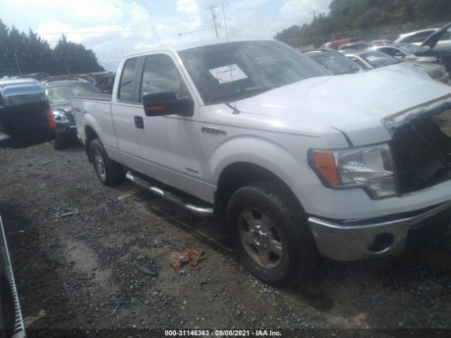 FORD F-150 2011 1ftfx1et8bfb24743