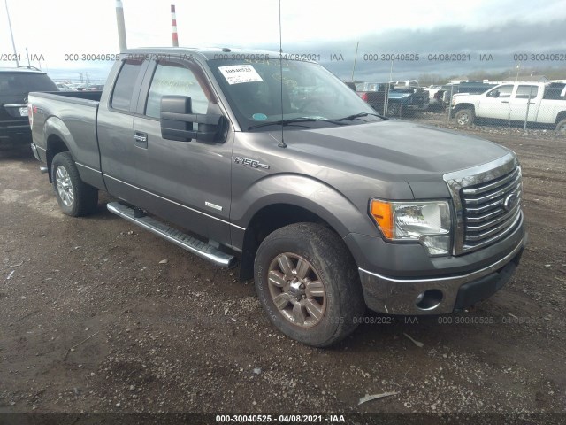 FORD F-150 2011 1ftfx1et8bfb62442