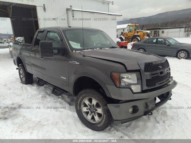 FORD F-150 2011 1ftfx1et8bfc34207