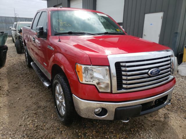 FORD F150 SUPER 2011 1ftfx1et8bfc56613