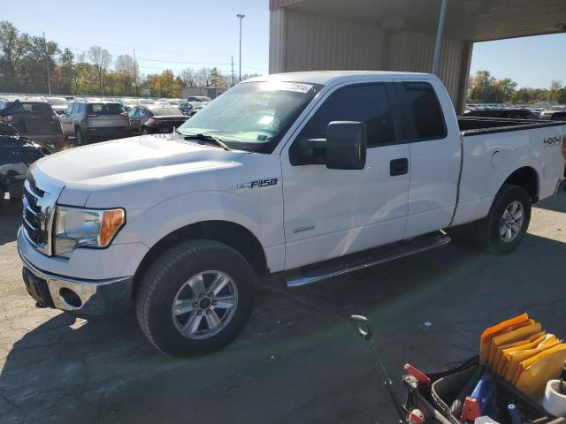 FORD F150 SUPER 2011 1ftfx1et8bfc68633