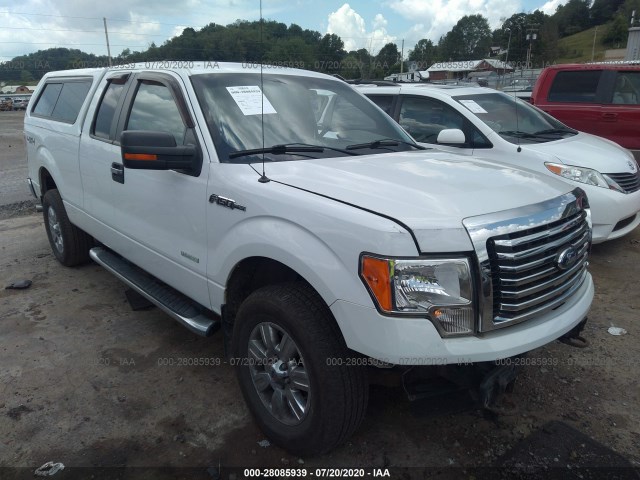 FORD F-150 2011 1ftfx1et8bfd25445