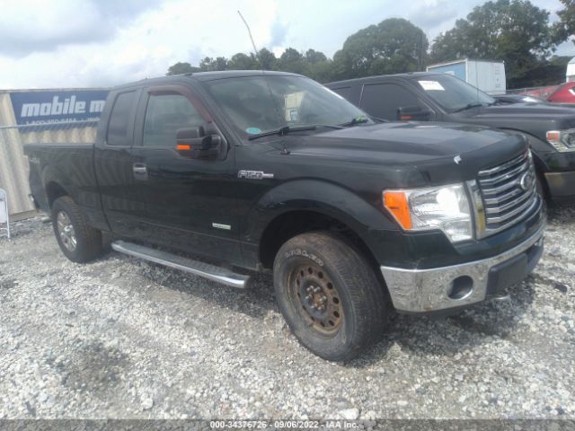 FORD F-150 2012 1ftfx1et8cfb78755