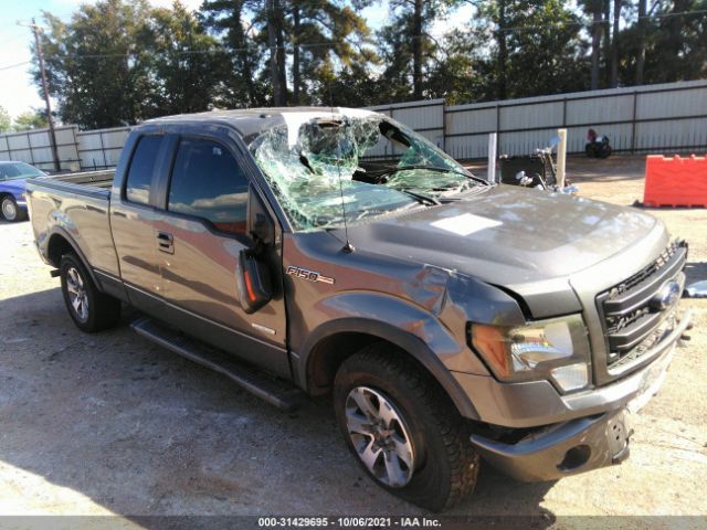 FORD F-150 2013 1ftfx1et8dfa49299