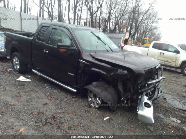 FORD F-150 2013 1ftfx1et8dfa59010