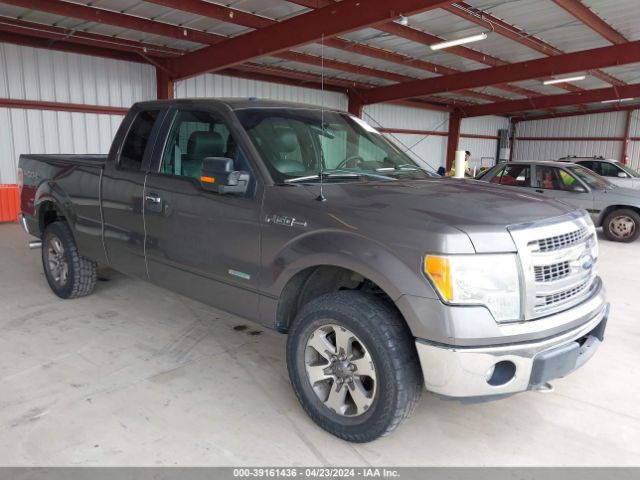 FORD F-150 2013 1ftfx1et8dfb91183