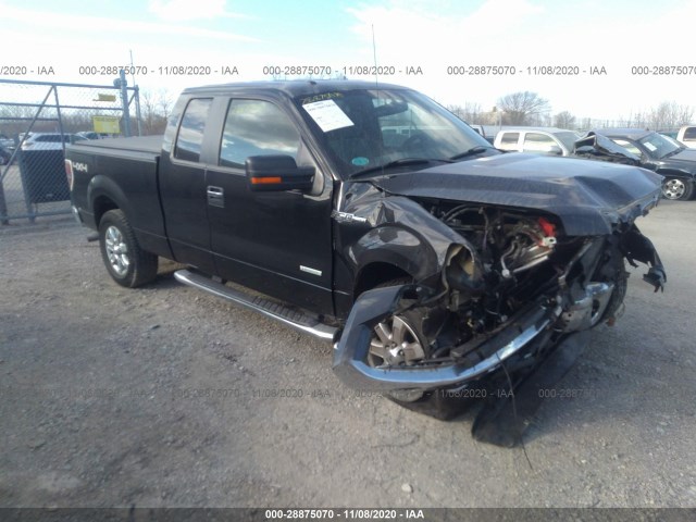 FORD F-150 2013 1ftfx1et8dfd09393