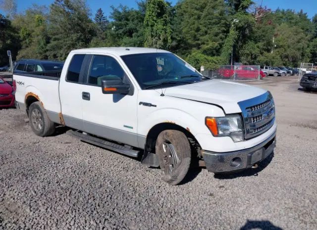 FORD F-150 2013 1ftfx1et8dfd73823