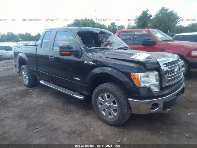 FORD F-150 2013 1ftfx1et8dfd80660