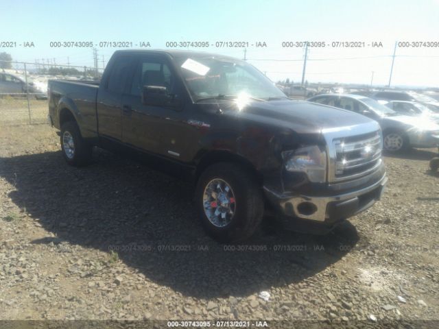 FORD F-150 2013 1ftfx1et8dke18699