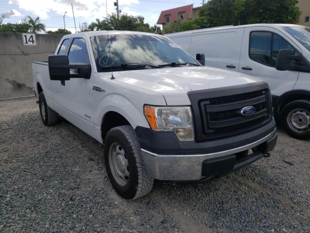 FORD F-150 2013 1ftfx1et8dkf34307