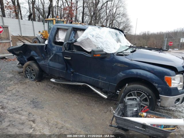 FORD F-150 2014 1ftfx1et8efa60353