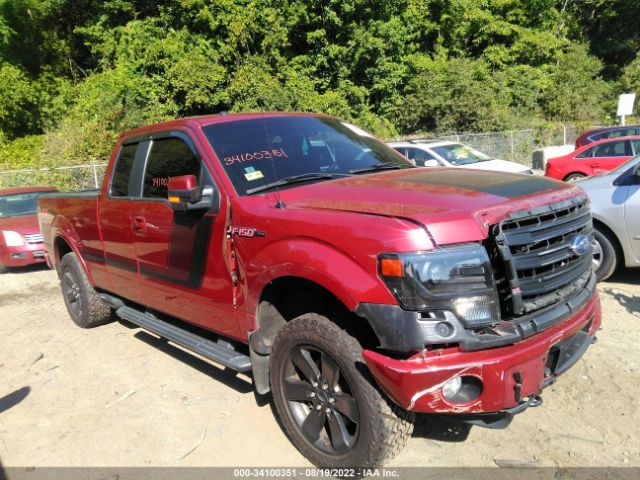 FORD F-150 2014 1ftfx1et8efc57975