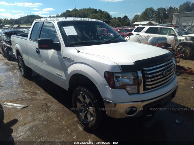 FORD F-150 2011 1ftfx1et9bfb07885