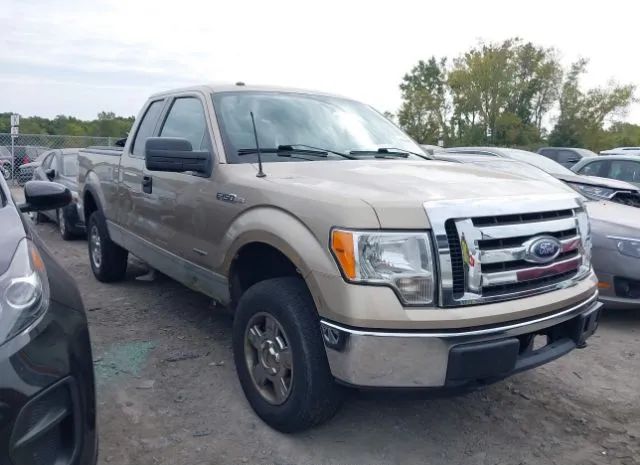 FORD F-150 2011 1ftfx1et9bfc01040