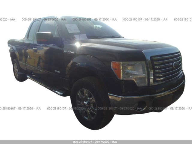 FORD F-150 2012 1ftfx1et9cfc00343