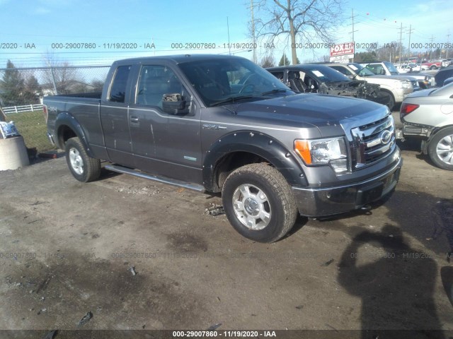 FORD F-150 2012 1ftfx1et9cfc25632