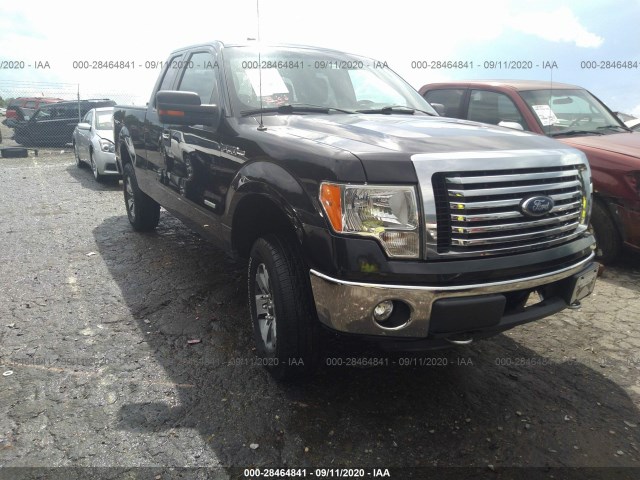 FORD F-150 2013 1ftfx1et9dfa02993