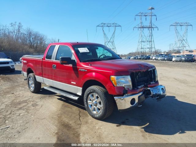 FORD F-150 2013 1ftfx1et9dfb05654