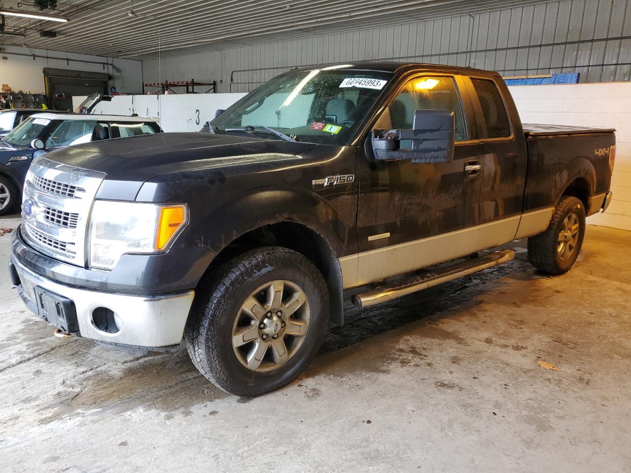 FORD F-150 2013 1ftfx1et9dfc75481