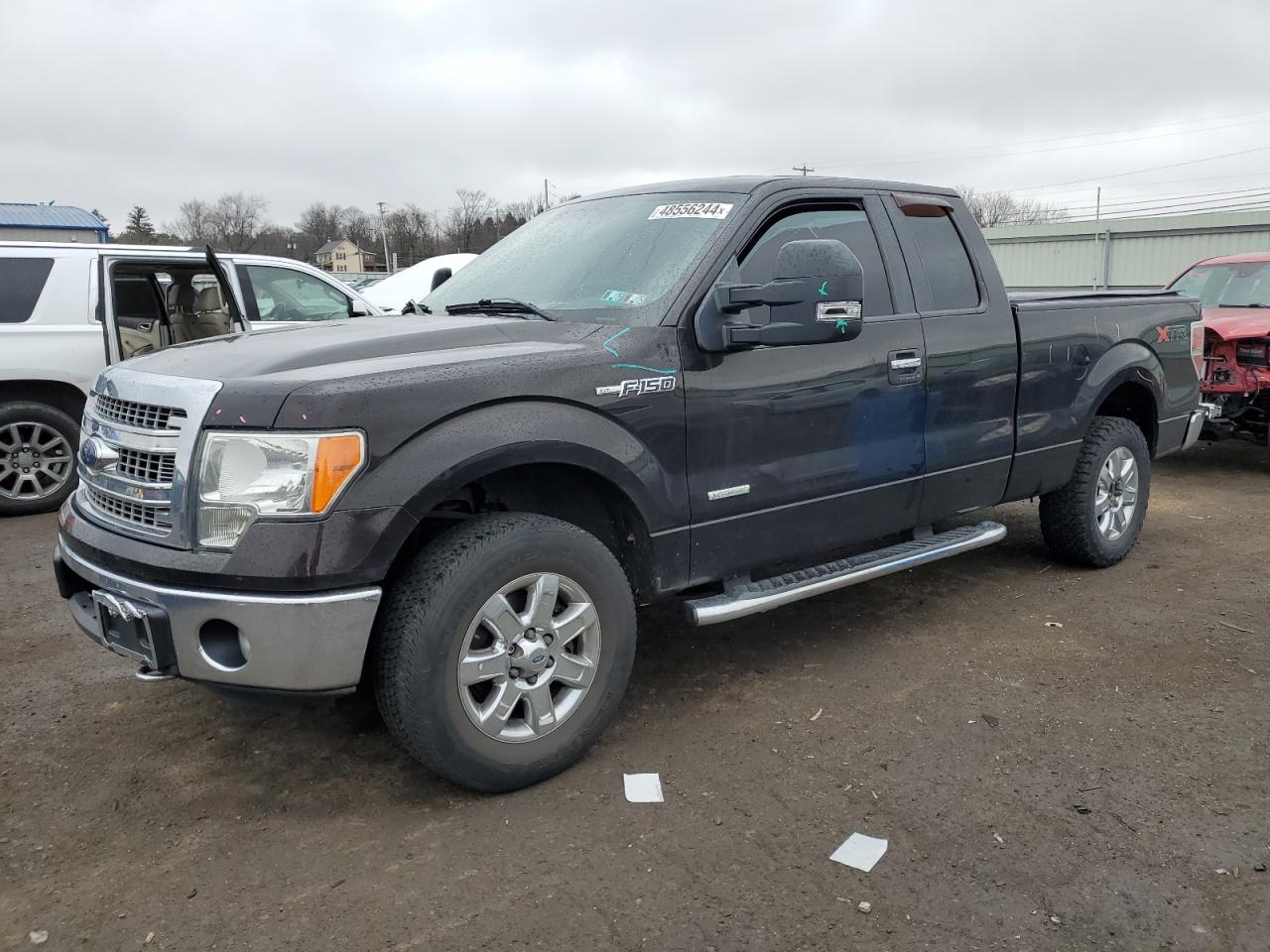 FORD F-150 2013 1ftfx1et9dfc89381