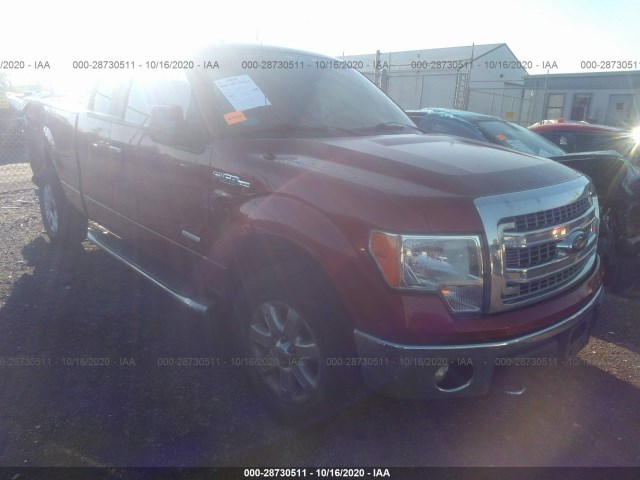 FORD F-150 2013 1ftfx1et9dfd80327