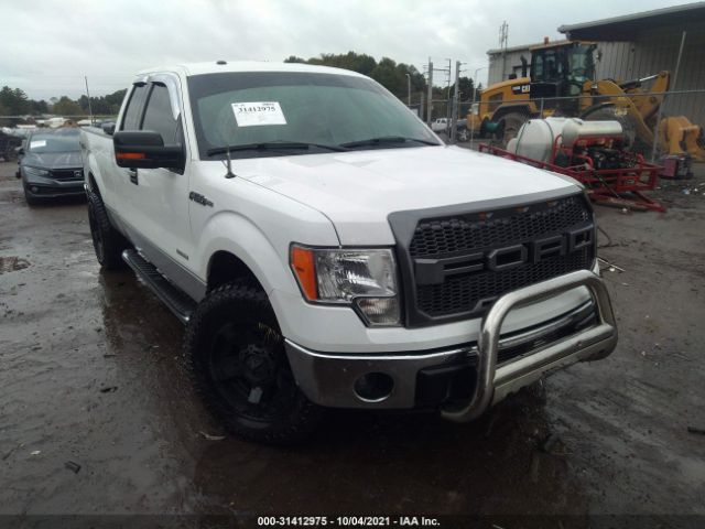 FORD F-150 2013 1ftfx1et9dkd52230