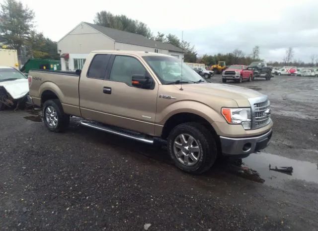 FORD F-150 2014 1ftfx1et9efb36999