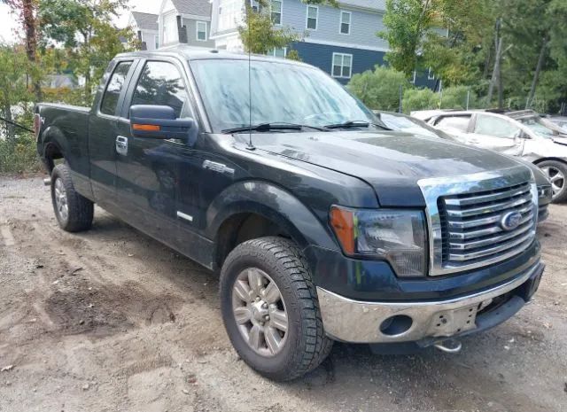 FORD F-150 2011 1ftfx1etxbfa94502