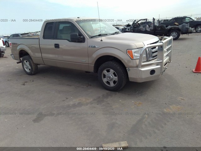 FORD F-150 2011 1ftfx1etxbfc66754