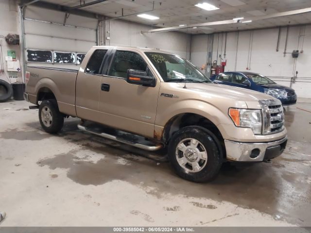 FORD F-150 2011 1ftfx1etxbfc68911