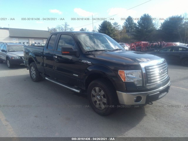 FORD F-150 2011 1ftfx1etxbfd18433