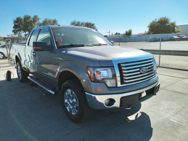 FORD F150 SUPER 2012 1ftfx1etxcfc21685