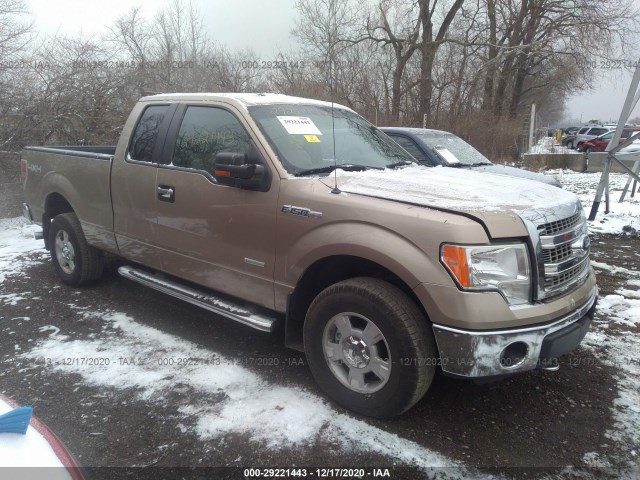 FORD F-150 2013 1ftfx1etxdfa01044