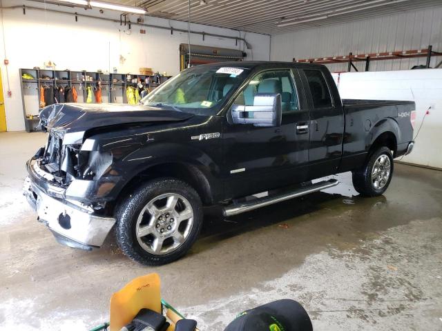 FORD F-150 2013 1ftfx1etxdfc45339