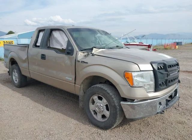 FORD F-150 2013 1ftfx1etxdfc96176