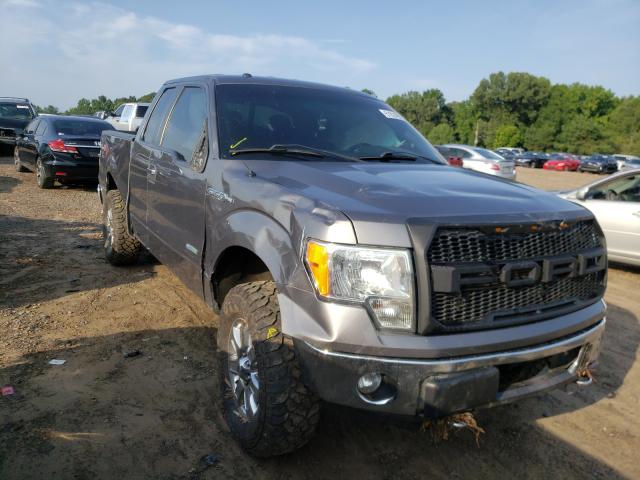 FORD F150 SUPER 2013 1ftfx1etxdfd80692