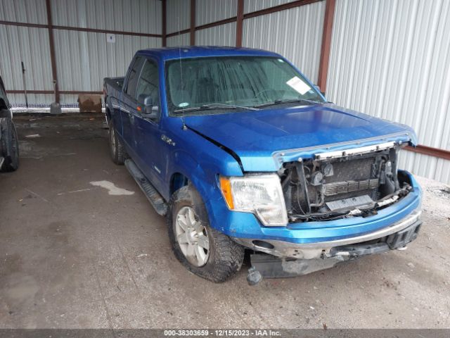 FORD F-150 2013 1ftfx1etxdkf72752