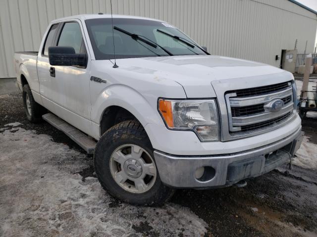 FORD F150 SUPER 2014 1ftfx1etxefc45598