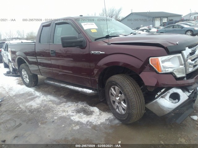 FORD F-150 2010 1ftfx1ev1afb51461