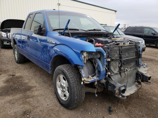 FORD F150 SUPER 2010 1ftfx1ev1afb57521