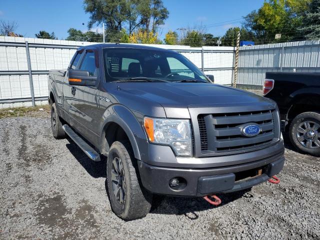 FORD F150 SUPER 2010 1ftfx1ev1afb66039