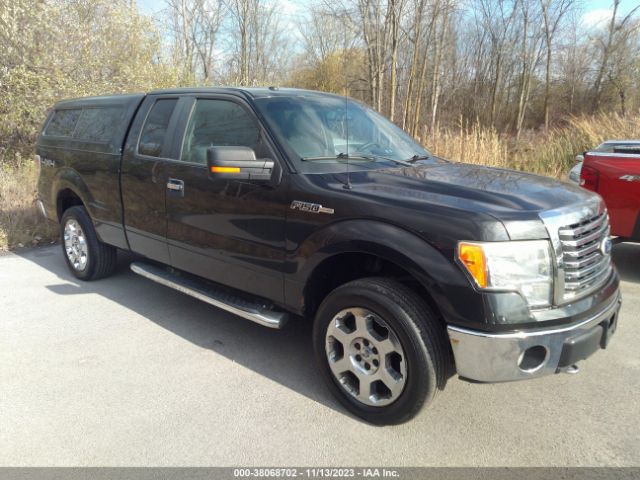 FORD F-150 2010 1ftfx1ev1afb92463