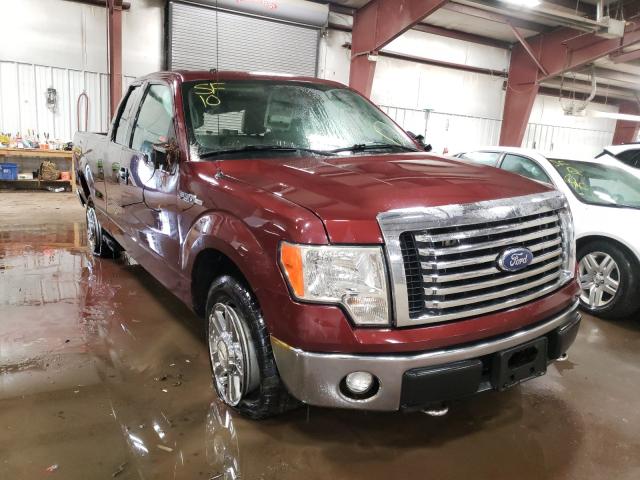 FORD F150 SUPER 2010 1ftfx1ev1afb99445