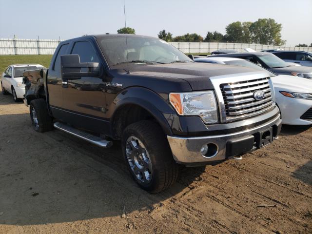 FORD F150 SUPER 2010 1ftfx1ev1afc01100